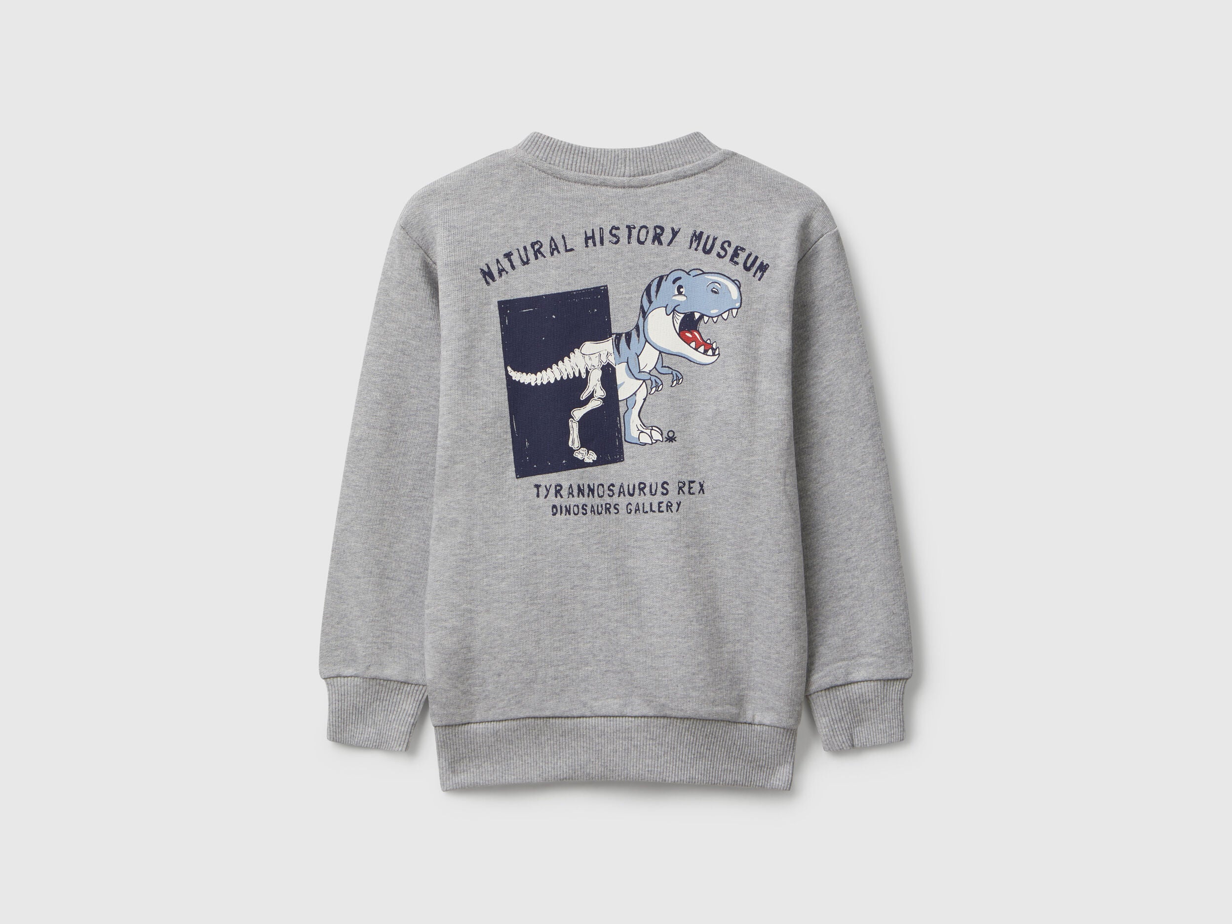 Benetton_Light Gray_Long Sleeve Sweatshirt with Print_3J68G10KN_501_02