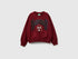Benetton_Burgundy_©Harvard University Sweatshirt_32N4C10PQ_236_01