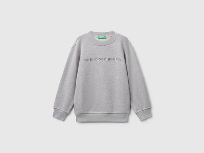 Benetton_Light Gray_Regular Fit Sweatshirt with Print_3J70G10JY_501_01