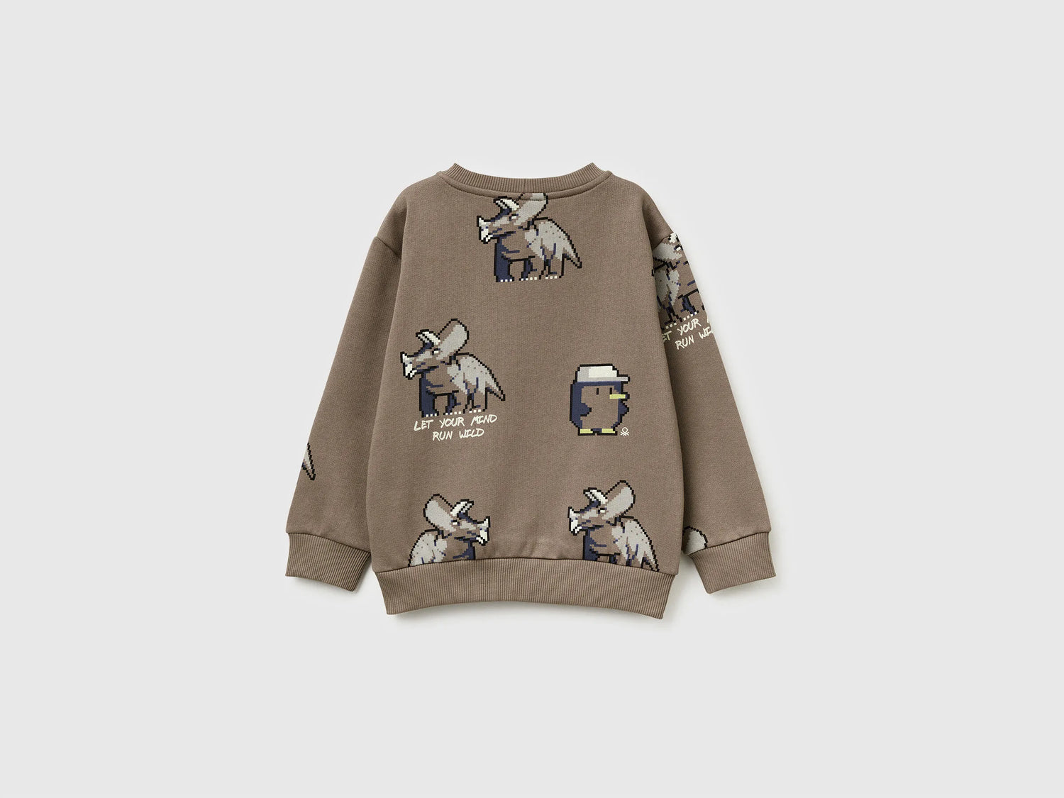 Benetton_Dove Gray_Regular Fit Sweatshirt with Print_3QHCG10KX_68U_02