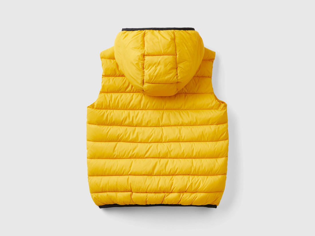 Padded Jacket With Hood