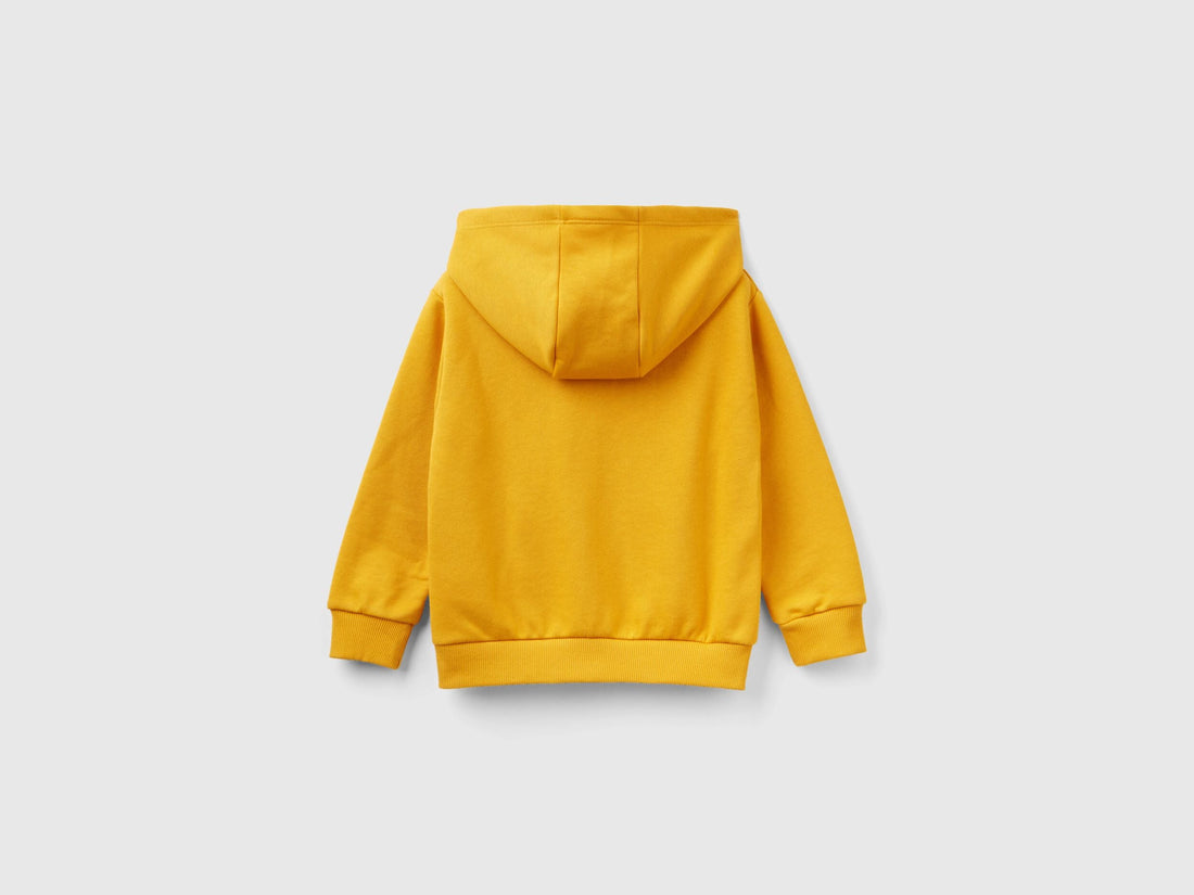 Regular Fit Hoodie